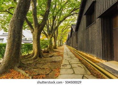 Sankyo Warehouse and Zelkova trees in Autumn Leaves at Sakata, Yamagata, Japan