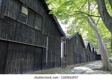 Sankyo warehouse and zelkova trees in Sakata, Yamagata, Japan