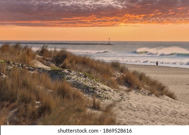 Santa Ana Winds Buffet Oxnard Shores  In California