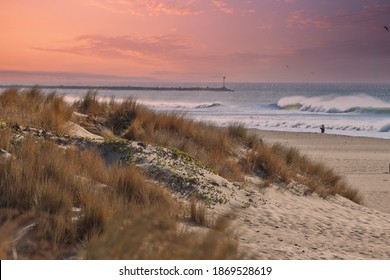 Santa Ana Winds Buffet Oxnard Shores  In California