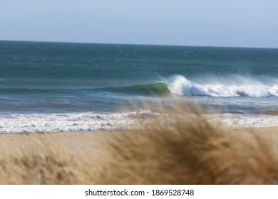 Santa Ana Winds Buffet Oxnard Shores  In California