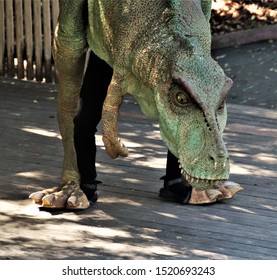 Santa Barbara, CA, USA, Sept. 29, 2019: A Person In A T Rex Costume Set To Entertain Kids At The Zoo
