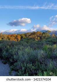 Santa Barbara CA Santa Ynez Mountains 