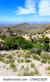 Santa Catalina Mountains With Deep Blue Sky, AZ