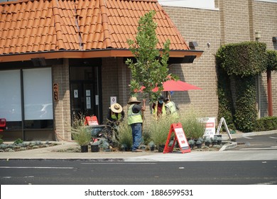 Santa Clara, California, USA.  ‎August ‎18, ‎2020. A Landscaping Crew Planting Outside A Business. 