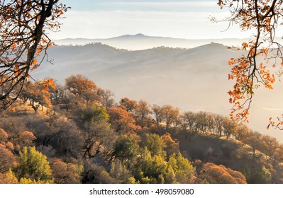 Santa Clara Valley And Santa Cruz Mountains Autumn Colors. Joseph Grant County Park, Santa Clara County, California, USA