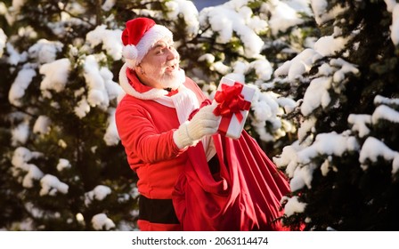 Santa Claus comes in the snow forest. - Powered by Shutterstock