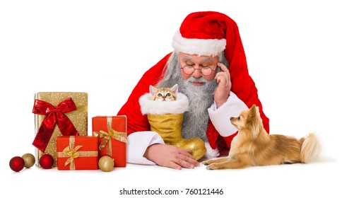 96,363 Santa pet Images, Stock Photos & Vectors | Shutterstock