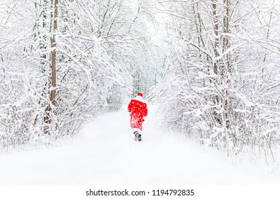 Santa Claus in red costume walk in winter forest afar. Winter park, trees covered with snow. Back view