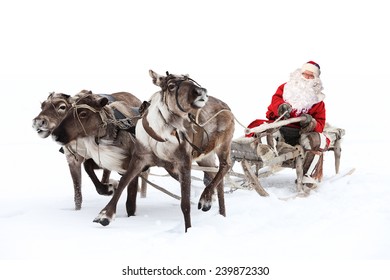 Дед Мороз едет в северных санях. Он спешит подарить подарки перед Рождеством.