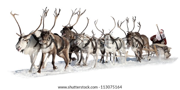 Santa Claus\
rides in a reindeer sleigh. He hastens to give gifts before\
Christmas. This is fast team of eight\
deer.