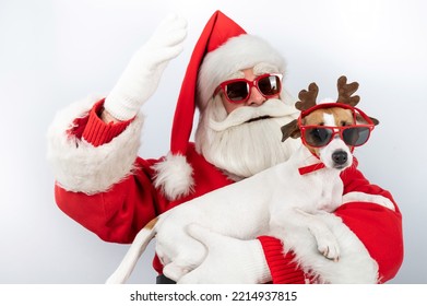 Santa claus and santa's helper in sunglasses on a white background. Jack russell terrier dog in a deer costume. - Powered by Shutterstock