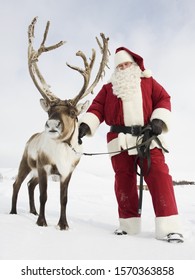 Santa Claus Standing With His Reindeer