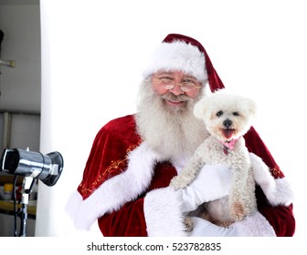 Santa Clause Holding Small Dog In Studio