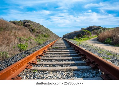 Santa Cruz California Endless Traintracks