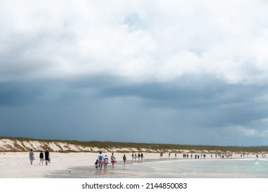 SANTA CRUZ ISLAND, GALAPAGOS ISLANDS, ECUADOR - MARCH 12, 2022: People Visit Tortuga Bay, A Beach That Is Home To A Wide Range Of Galapagos Islands Wildlife Species. 