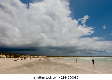 SANTA CRUZ ISLAND, GALAPAGOS ISLANDS, ECUADOR - MARCH 12, 2022: People Visit Tortuga Bay, A Beach That Is Home To A Wide Range Of Galapagos Islands Wildlife Species. 