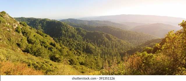 Santa Cruz Mountains, View From Castle Rock Hiking Trail, Northern California.