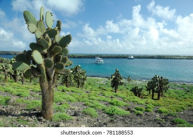 Santa Fe Island, Galapagos