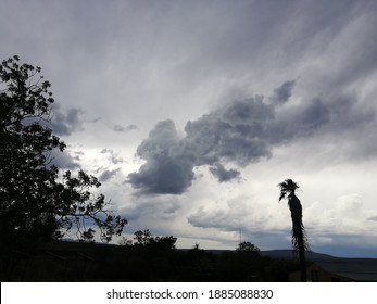 Santa And He's Sly With He's Reindeer In The Clouds 