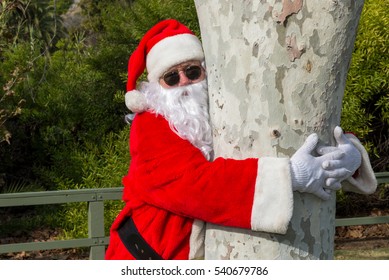 Santa hugging tree. Environmentalist Santa. Save the trees.