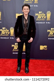 SANTA MONICA, CA - June 16, 2018: Stranger Things Star Noah Schnapp At The 2018 MTV Movie & TV Awards At The Barker Hanger, Santa Monica Airport