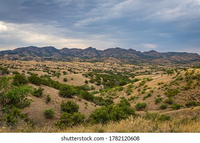 28 Arizona jaguar Images, Stock Photos & Vectors | Shutterstock