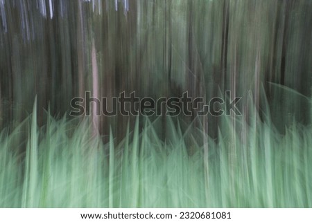 Santana, Madeira – May 19 2023: Intentional camera movement (ICM) abstract impressionistic background of trees and grass. 
