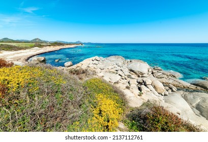 Sant'Elmo beach on a sunny day in springtime. Sardinia, Italy