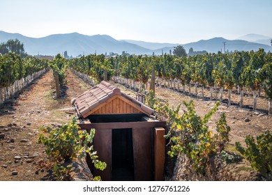 Santiago, Chile - Apr 4, 2018: Undurraga Vineyard -  Santiago, Chile