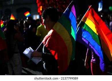 Santiago, Chile-November 11, 2014: Silhouettes Of People Next To The Gay Pride Lgtb Flag