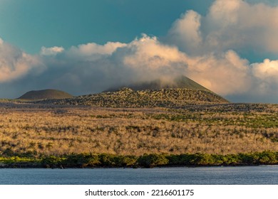 Santiago Island, Galapagos Islands, Ecuador.