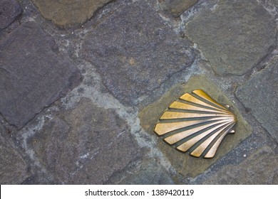 2,708 Shell of st james Images, Stock Photos & Vectors | Shutterstock