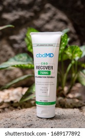 Santo Domingo, Heredia/Costa Rica - March 2020: CBD Ointment Cream For Pain Relief And Recovery With Arnica, Vitamin B6 And MSM. 