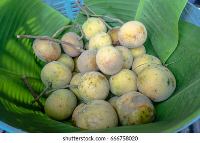 Santol On Bannana Leaf In Basket , Selective Focus