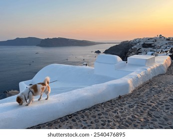 Santorini Greece cliffside caldera view doggy - Powered by Shutterstock