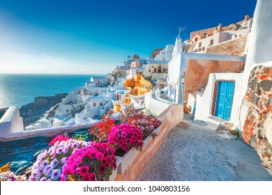 Santorini, Greece. Picturesq view of traditional cycladic Santorini houses on small street with flowers in foreground. Location: Oia village, Santorini, Greece. Vacations background. - Shutterstock ID 1040803156