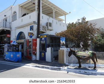 Santorini, Greece-May 14, 2022: Donkey Standing Outside A Corner Store Awaiting Tourist.