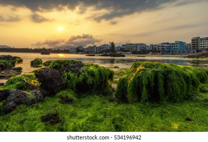 Sanya Hainan Phoenix Island