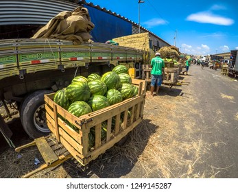 Warehouse manufacturing tuberous, vegetable, melon, crop and indoor products
