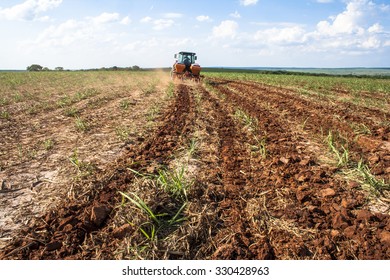 Sao Paulo, Brazil, October 10, 2008. Tractor makes fertilization in Sugar cane field - Shutterstock ID 330428963
