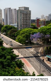 SAO PAULO - BRAZIL - SEP 27, 2021: Aerial View Of Antartica Avenue Running Between High Rise Buildings And Tall Green Vegetation Trees In Agua Branca Under Clear Sunny Blue Sky.