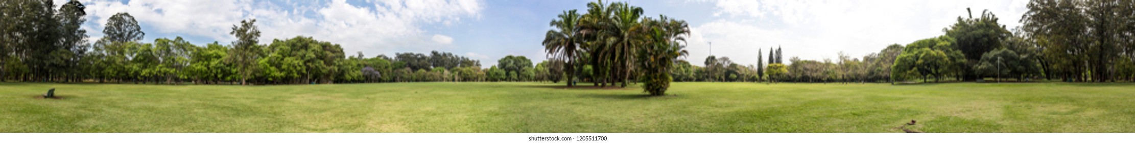 Sao Paulo Ibirapuera Park Panorama