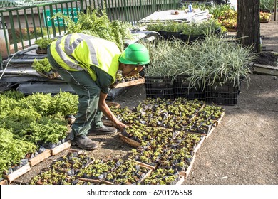 Bilder Stockfotos Und Vektorgrafiken Mauer Garten Shutterstock