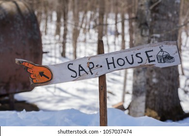 Sap Buckets New England Maple Syrup Sugar House