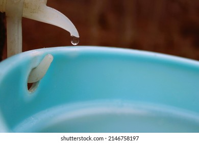 Sap Dripping Into A Bucket From A Tree