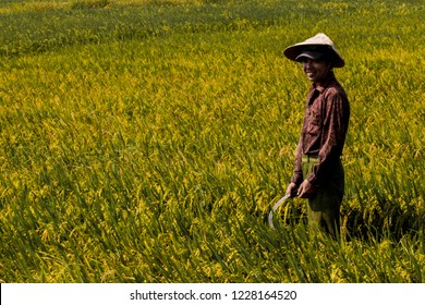 SAPA, VIETNAM - 20 JUNE 2018: people, farmers and children,  in the countryside around Sapa, in the north of vietnam - Shutterstock ID 1228164520