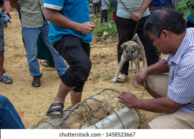 Sapa, Vietnam. 30 September 2018: Dog Meat Trade. A Poor Puppy With A Worried Look Seeing Its Kind Being Shaft Into A Wired Cage.