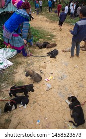 Sapa, Vietnam. 30 September 2018: Dog Meat Trade. Drugged Puppies Tied With Strings And Ropes Are Being Sold For Their Meat In Northern Vietnam.