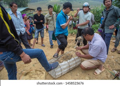 Sapa, Vietnam. 30 September 2018: Dog Meat Trade. A Poor Puppy With A Worried Look Seeing Its Kind Being Shaft Into A Wired Cage.